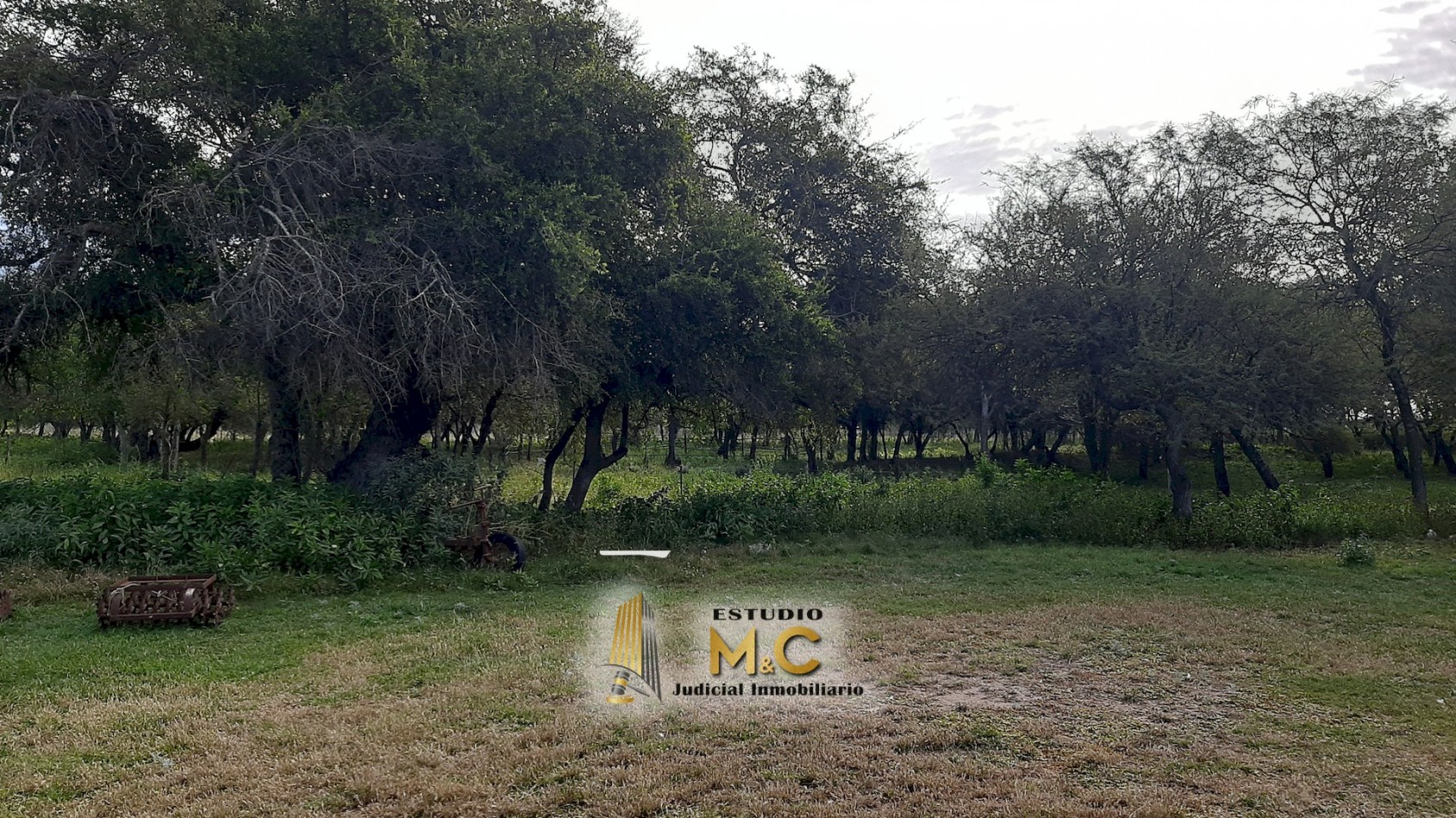 Terrenos Industriales sobre RN9 - Mi Granja
